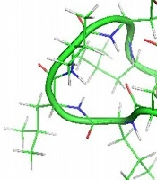 Gene Cell Tissue